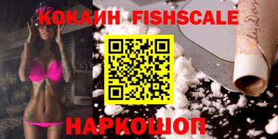 гидра Будённовск