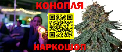 гидра Будённовск