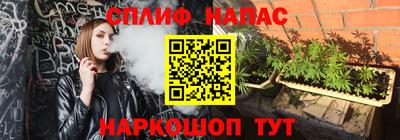 гидра Будённовск