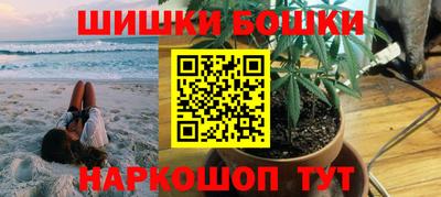 гидра Будённовск