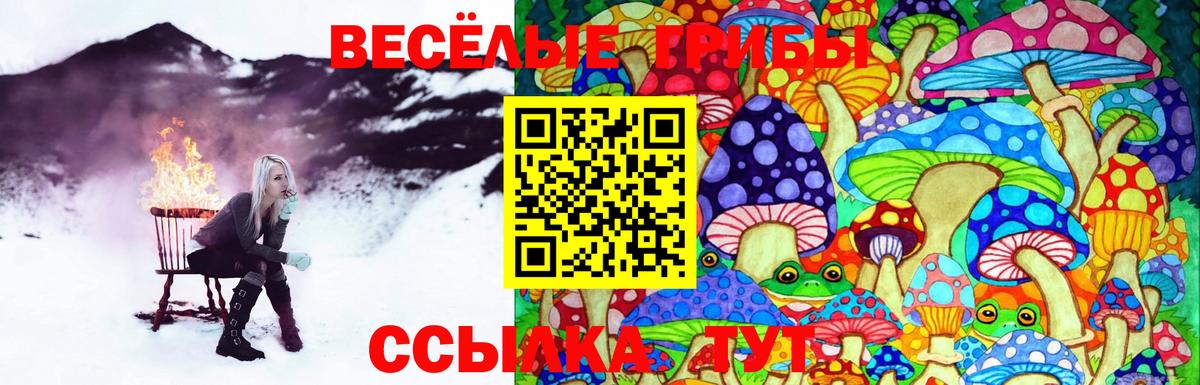 Псилоцибиновые грибы ЛСД Нарьян-Мар